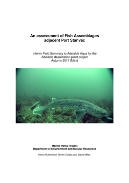 An Assessment of Fish Assemblages Adjacent Port Stanvac