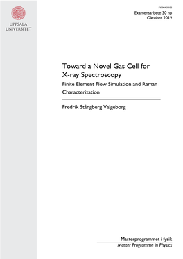 Toward a Novel Gas Cell for X-Ray Spectroscopy Finite Element Flow Simulation and Raman Characterization