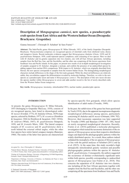 Description of Metopograpsus Cannicci, New Species, a Pseudocryptic Crab Species from East Africa and the Western Indian Ocean (Decapoda: Brachyura: Grapsidae)