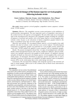 Structural Changes of the Human Superior Cervical Ganglion Following Ischemic Stroke