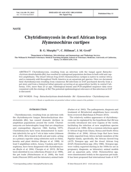 Chytridiomycosis in Dwarf African Frogs Hymenochirus Curtipes