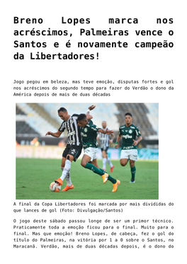 Breno Lopes Marca Nos Acréscimos, Palmeiras Vence O Santos E É Novamente Campeão Da Libertadores!
