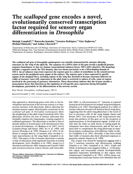 The Scalloped Gene Encodes a Novel, Evolutionarily Conserved Transcription Factor Required for Sensory Organ Differentiation in Drosophila