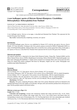 A New Leafhopper Species of Maiestas Distant (Hemiptera: Cicadellidae: Deltocephalinae: Deltocephalini) from Thailand