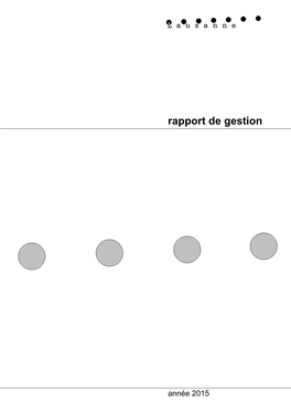 Rapport De Gestion