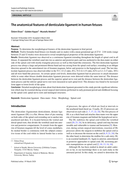 The Anatomical Features of Denticulate Ligament in Human Fetuses