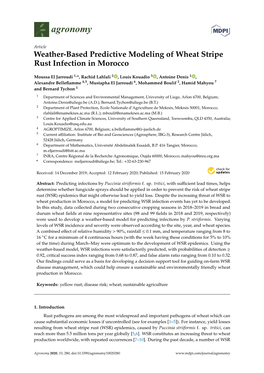 Weather-Based Predictive Modeling of Wheat Stripe Rust Infection in Morocco