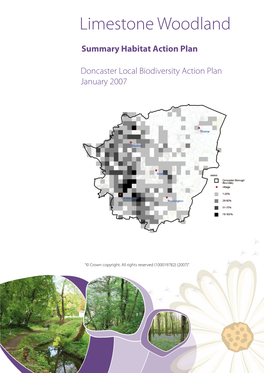 Limestone Woodland