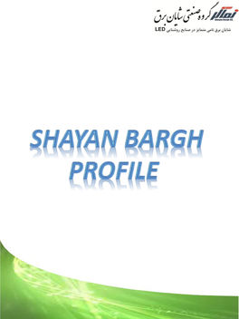 Shayan Electrical Industrial Group Profile