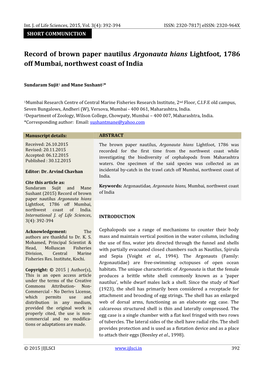 Record of Brown Paper Nautilus Argonauta Hians Lightfoot, 1786 Off Mumbai, Northwest Coast of India
