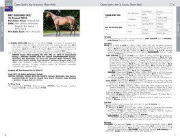 LOT 4 Charm Spirit X Key to Success (Thorn Park) Charm Spirit X Key to Success (Thorn Park) LOT 4