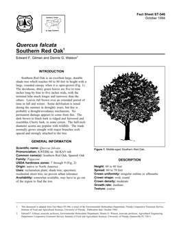 Quercus Falcata Southern Red Oak1 Edward F