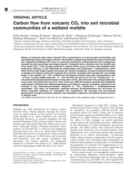 Carbon Flow from Volcanic CO2 Into Soil Microbial Communities of a Wetland Mofette