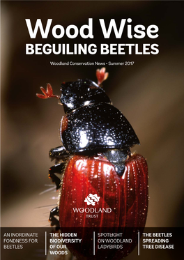 Wood Wise BEGUILING BEETLES