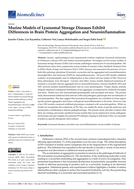 Murine Models of Lysosomal Storage Diseases Exhibit Differences in Brain Protein Aggregation and Neuroinflammation