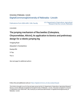 The Jumping Mechanism of Flea Beetles (Coleoptera, Chrysomelidae, Alticini), Its Application to Bionics and Preliminary Design for a Robotic Jumping Leg