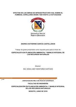 Efectos De Las Obras De Infraestructura Vial Sobre El Humedal Capellanía Desde 1930 Hasta La Actualidad