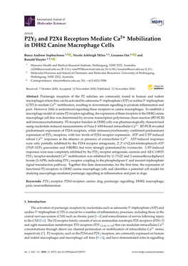 P2Y2 and P2X4 Receptors Mediate Ca2+ Mobilization in DH82 Canine