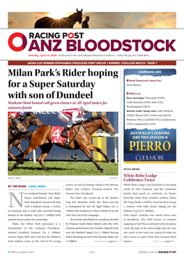 Milan Park's Rider Hoping for a Super Saturday with Son of Dundeel