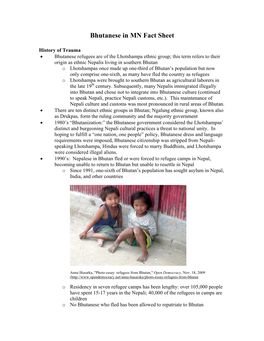 Bhutanese in MN Fact Sheet.Pdf