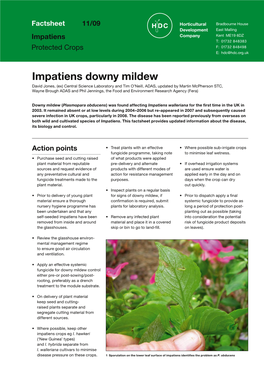 Impatiens Downy Mildew