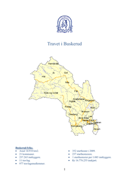 Travet I Buskerud