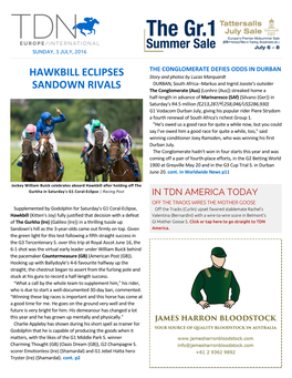 Hawkbill Eclipses Sandown Rivals