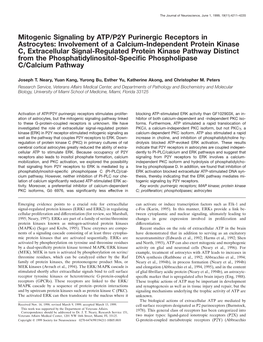 Mitogenic Signaling by ATP/P2Y Purinergic Receptors in Astrocytes