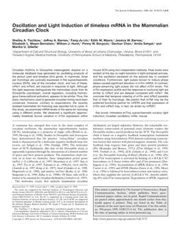 Oscillation and Light Induction of Timeless Mrna in the Mammalian Circadian Clock