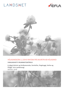 Hólasandslína 3, 220 Kv Raflína Frá Akureyri Að Hólasandi Viðaukahefti Frummatsskýrslu 2