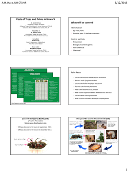 Pests of Trees and Palms in Hawai`I