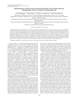 Morphometric Analyses and Taxonomic Revision of the North American Holoparasitic Genus Conopholis (Orobanchaceae)