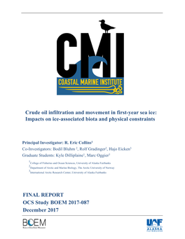 Crude Oil Infiltration and Movement in First-Year Sea Ice: Impacts on Ice-Associated Biota and Physical Constraints