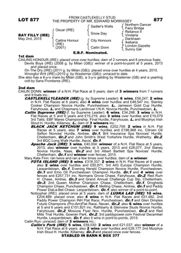 Lot 877 the Property of Mr