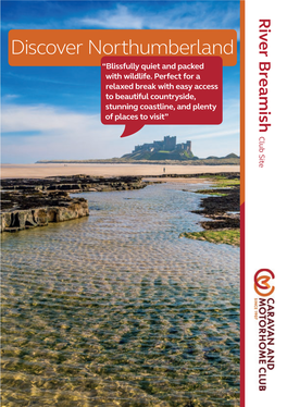 Discover Northumberland “Blissfully Quiet and Packed with Wildlife