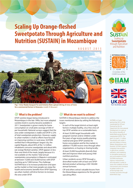 Scaling up Orange-Fleshed Sweetpotato Through Agriculture and Nutrition (SUSTAIN) in Mozambique AUGUST 2015