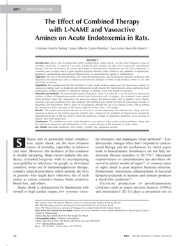 The Effect of Combined Therapy with L-NAME and Vasoactive Amines on Acute Endotoxemia in Rats