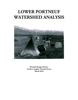 LOWER PORTNEUF WATERSHED ANALYSIS March 2010