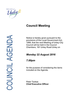 Council Meeting