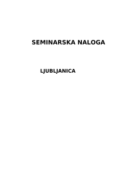 Seminarska Naloga