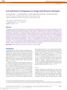 Cut-And-Paste Transposons in Fungi with Diverse Lifestyles