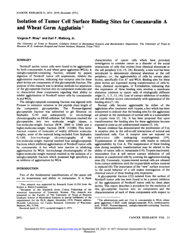 Isolation of Tumor Cell Surface Binding Sites for Concanavalin a and Wheat Germ Agglutinin '