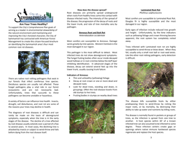 Identifying Root Disease Brochure