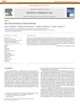 The Role of Formins in Human Disease