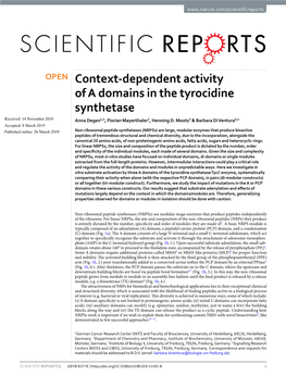 Context-Dependent Activity of a Domains in the Tyrocidine Synthetase Received: 14 November 2018 Anna Degen1,4, Florian Mayerthaler2, Henning D