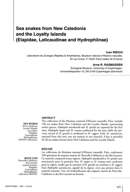 Sea Snakes from New Caledonia and the Loyalty Islands (Elapidae, Laticaudinae and Hydrophiinae)