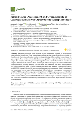 Pitfall Flower Development and Organ Identity of Ceropegia Sandersonii (Apocynaceae-Asclepiadoideae)