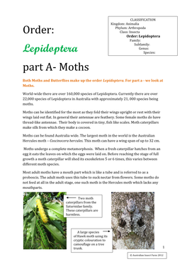 Order: Lepidoptera: Moths