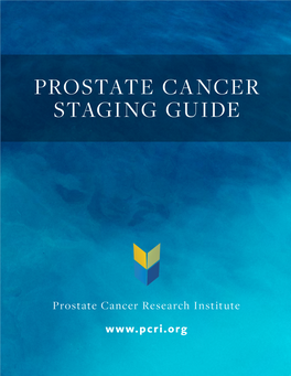 Prostate Cancer Staging Guide