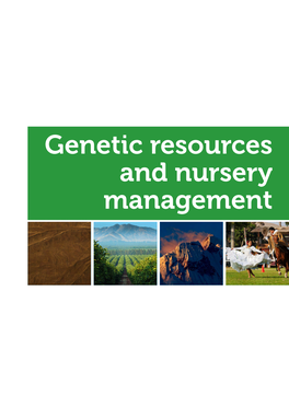 VIII World Avocado Congress 2015 | 15 Book of Abstracts GENETIC RESOURCES and NURSERY MANAGEMENT • ORAL